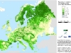 masa-forestal-europea-fuente-efi