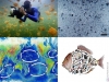 nanoplastico-y-plasticosfera