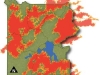 o_Yelowstone fire 1988