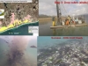 ostricultura-restauracion-ecologica-y-suelos