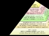 piramide-alimentaria-wikipedia
