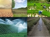 riego-y-cambio-climatico_0