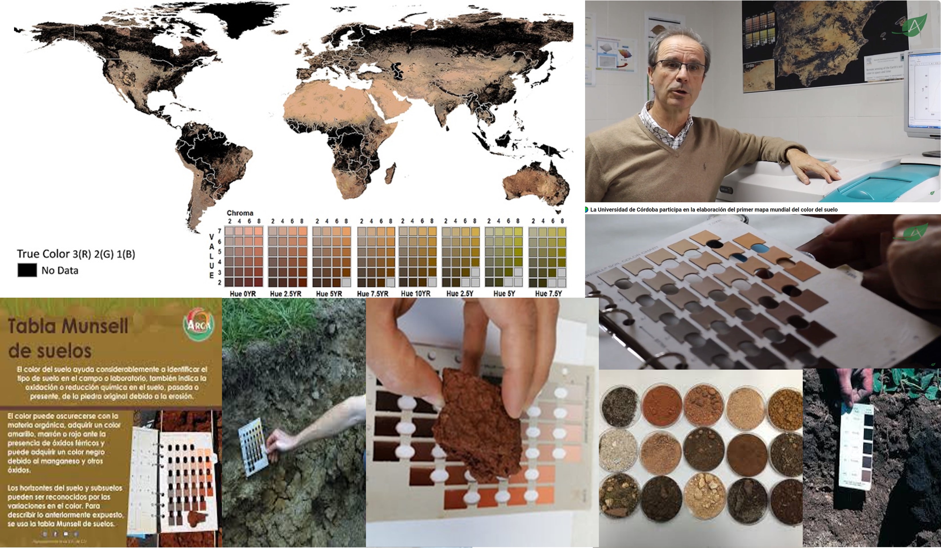 Colores-del-suelo-para-del-mundo