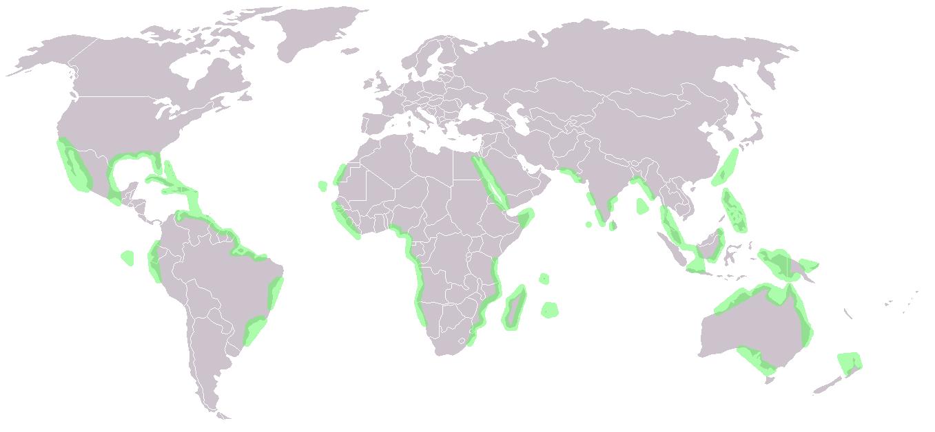 mapa-de-suelos-de-los-manglares-fuente-wikipedia