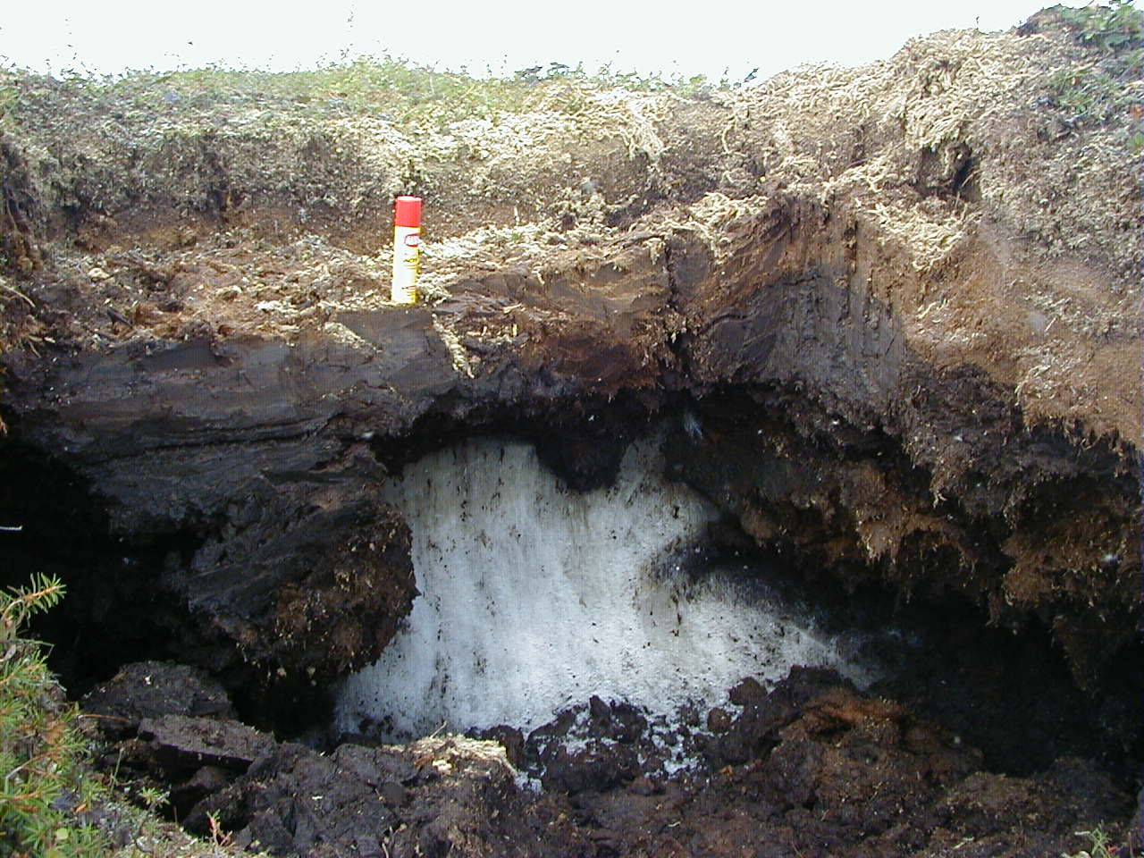 Geografía del Permafrost y Criosoles. Un Mundo de Suelos ...