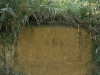 acrisol-fuente-isric