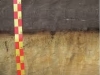 antrosol-plagico