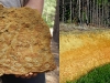 bloque-de-plintita-y-trinchera-fuenfe-flickr-soil-science