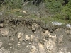 calcisol-fuente-soil-et-payges