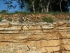 calcisol-leptico-atelier-sols-et-paysages