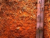 cambisol-cerrado-brasil-fu7ente-cerrado-soils