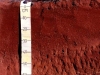 epipetric_durisol_za-fuente-isric