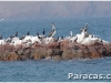 fabricando-suelos-fuente-paracas-punto-com