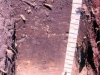 feozem-haplico-en-el-ejido-el-tigre-municipio-de-atitalaqua