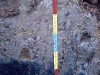 fluvisol-tionico-fuente-esb-jrc
