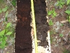 folist-izquiera-turbera-por-agua-derecha-fuente-soil-scientist