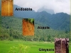 gleysoles-en-una-secuencia-tipica-de-regiones-volcanicas-fuente-soils-and-environment-blog