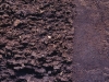 histosol-folist-fuente-new-zealand-soils