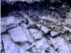 leptosol-litico-fuente-atlas-de-murcia