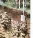 leptosoles-rendsinicos