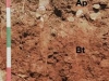 luvisol-fuente-iarasol