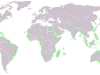 mapa-de-suelos-de-los-manglares-fuente-wikipedia