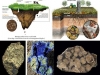 minerales-reactivos-secuestro-de-c-labil