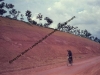 nitisol-ferralsolgranit-malaysia