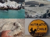 nitrato-de-chile-y-fertiliad-del-antartico
