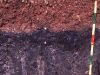 o_Antrosol1