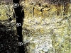 o_Cryosols Rusia