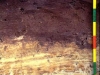 o_Horizonte placico