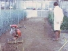 o_Hortisuelos invernadero