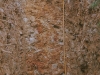 o_IMG0066