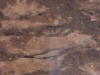 o_Leptosol Rendsinico
