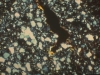 o_Micromorfologia suelo