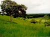 o_Plintosol Paisaje
