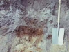 o_Podzol con ferricreta