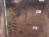 o_Soil_Solonchak