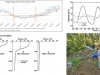 perfil-del-suelo-temperatura