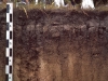 solonetz-perfil-european-soil-buro