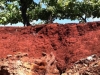 terra-rossa-australia