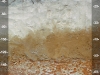 ultisol-con-rasgos-plinticos-stan-buol-fuente-soil-science-nc-state
