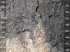 vertisols-soil-science-photostream