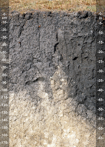 vertisols-soil-science-photostream