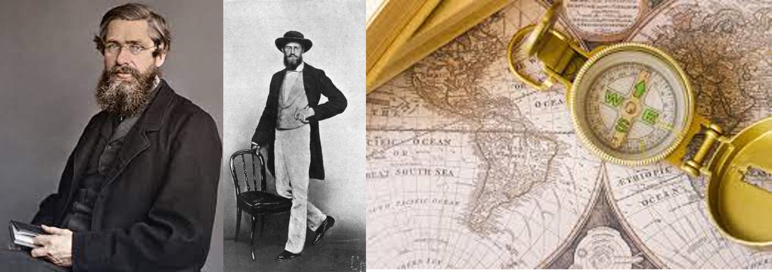 Alfred-R-Wallace-erosion