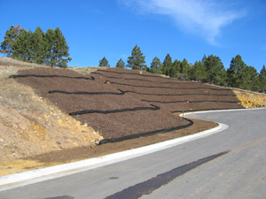 Dispsitivos de filtros de compost Fuente Sortm Water Solutions Home page