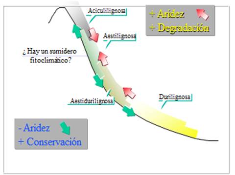 efecto-pinza-y-perdida-de-biodiversidad-rebollar