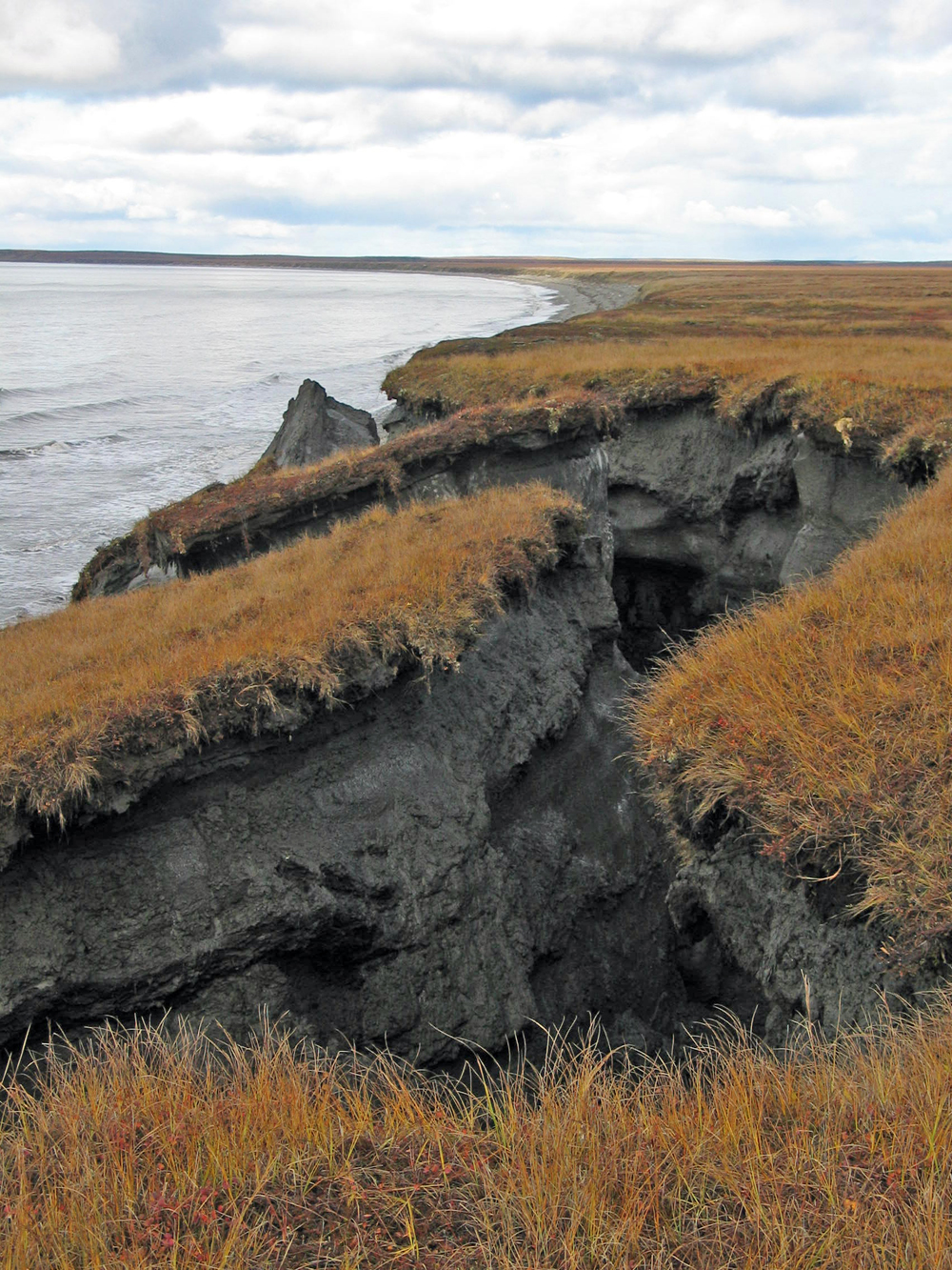 erosion-de-acantilados-de-permafrost-alaska-fuente-universidad-de-alaska2_0