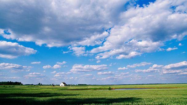 lower-tisza-valley-hungia-paisaje